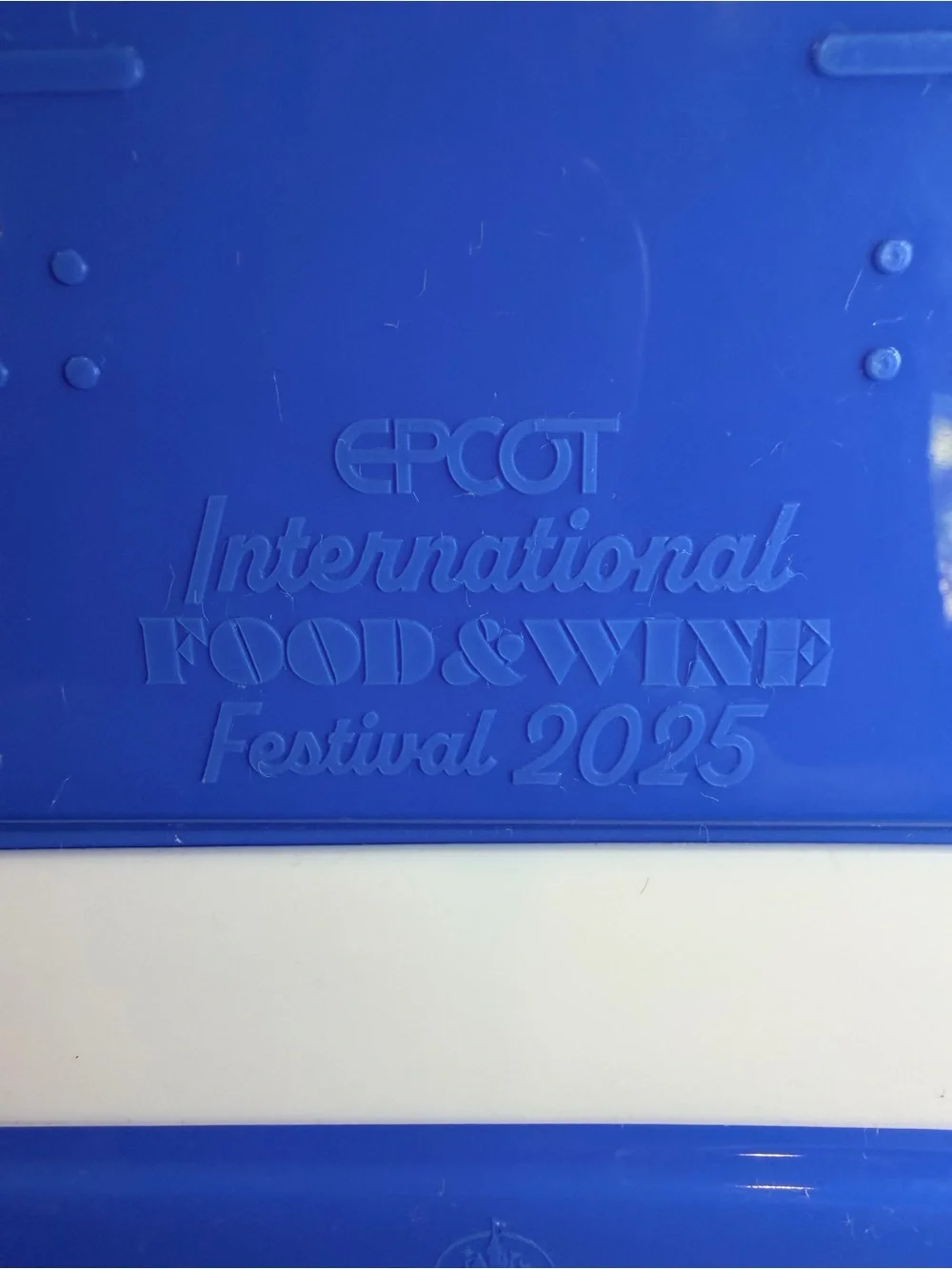 Disney 2025 Epcot International Food and Wine Festival Donald Duck Food Box